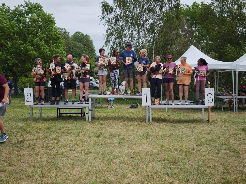 Remise des prix du sélectif agility : les équipes sur le podium